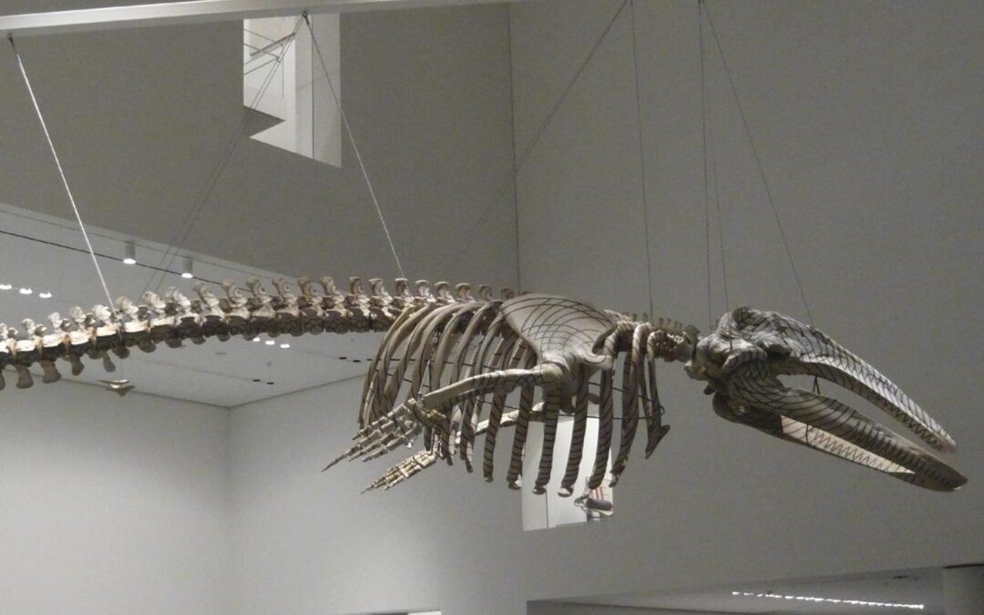 Mátrix Móvil en El MoMA