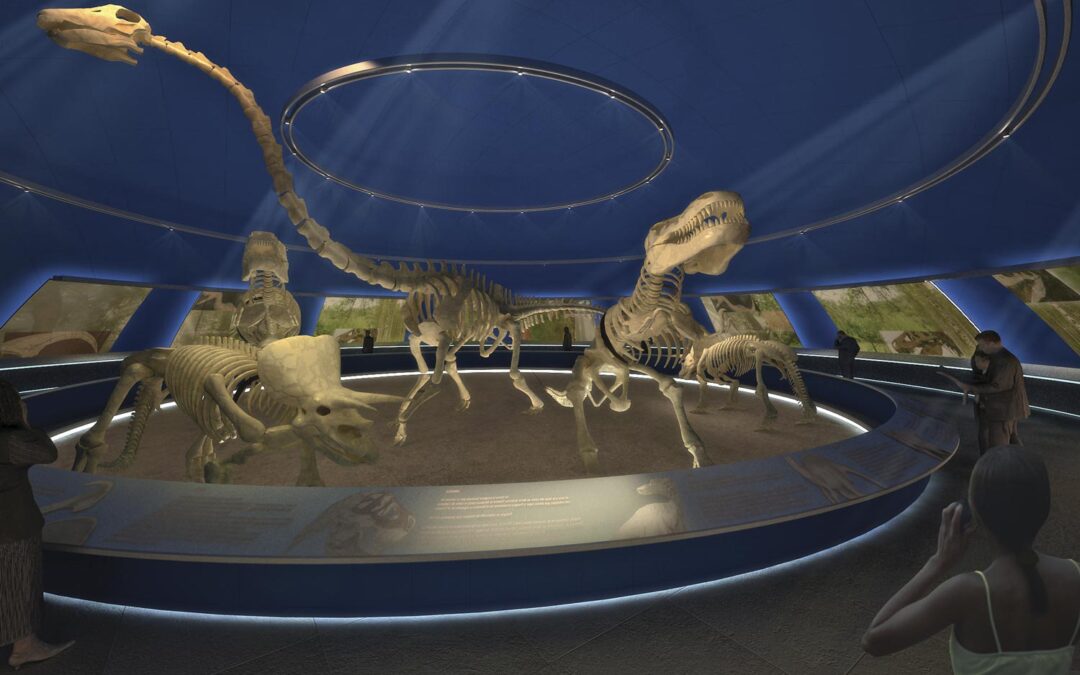 Museo de Historia Natural