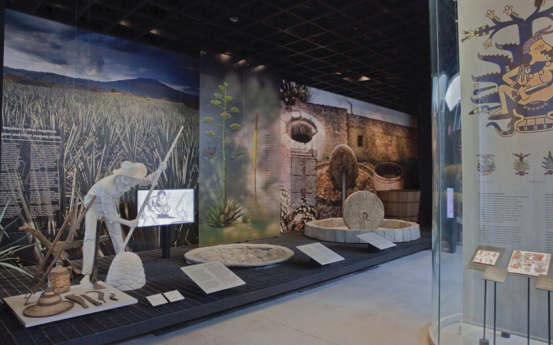 Museo del Tequila y el Mezcal